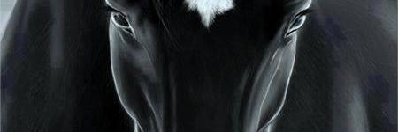 VeronicaELMtz's profile banner image