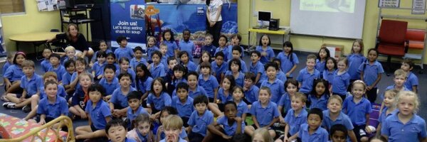 SOSSaveOurShark Profile Banner