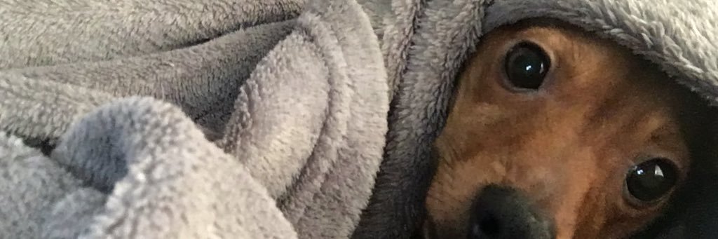 micaylaboysel's profile banner image
