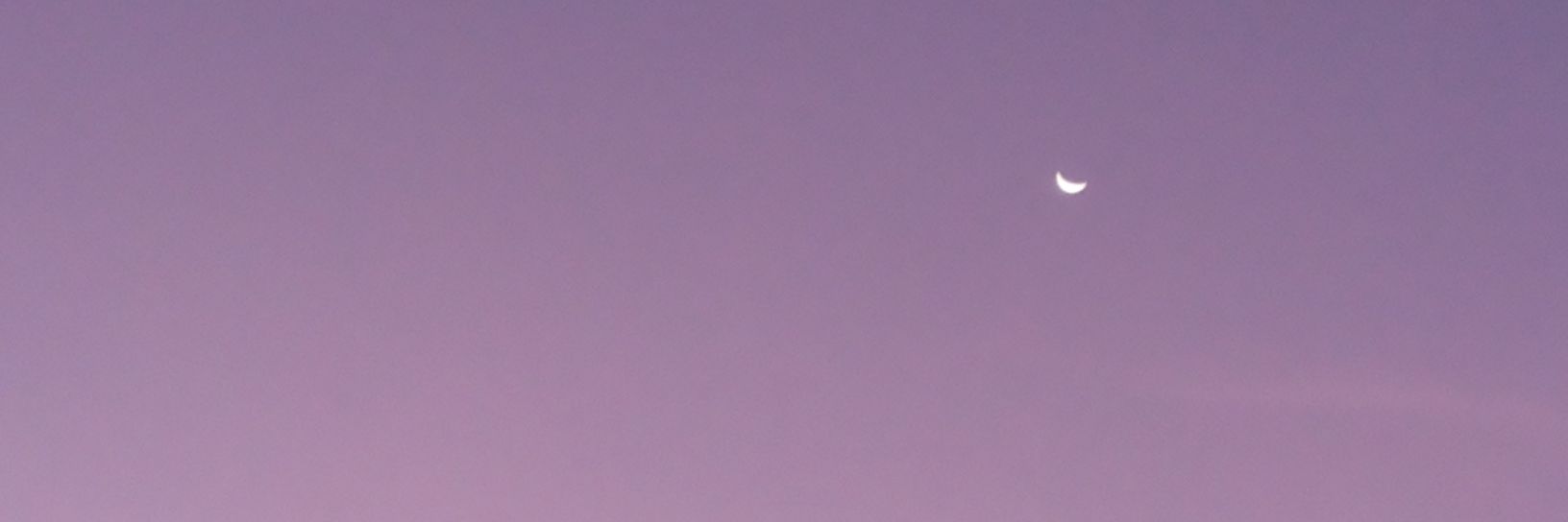 saraaaos's profile banner image