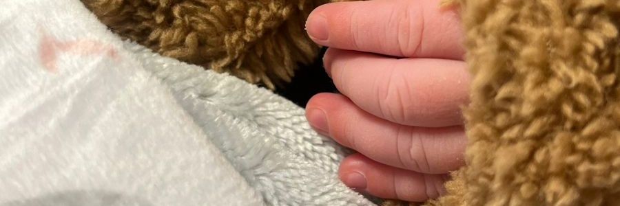 rebecavegaf's profile banner image