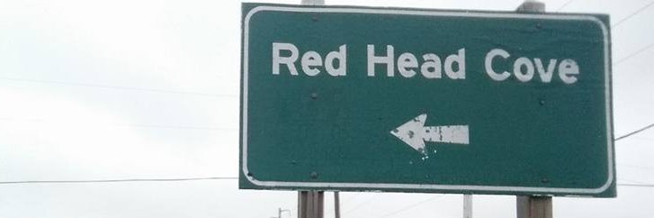 Jaime Sperling / @diedofennui.bsky.social banner