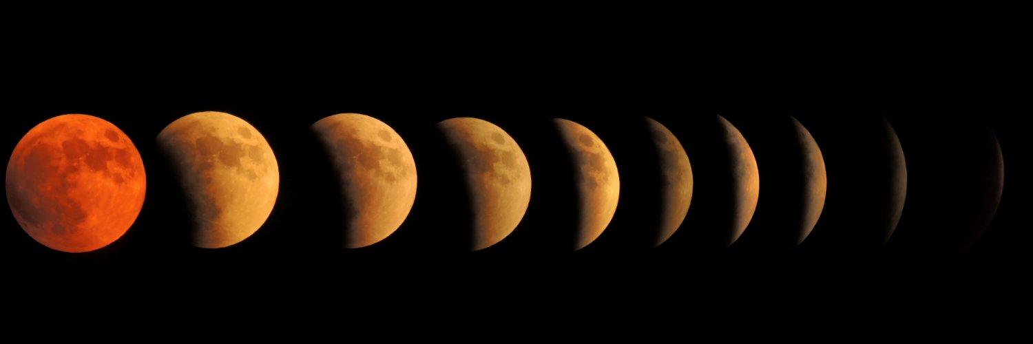 Sharlee Renchy banner