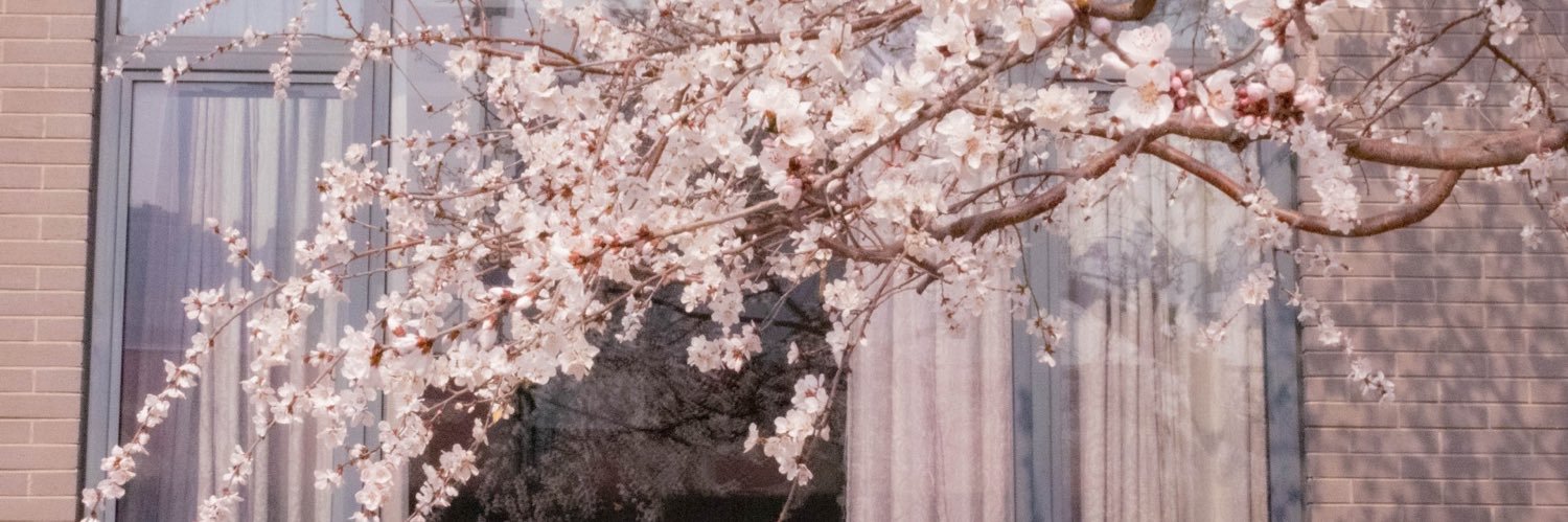 sansandix's profile banner image