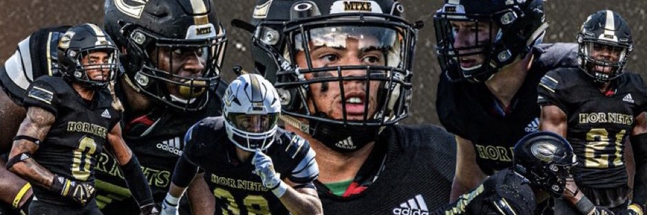 Michael LoPorto banner