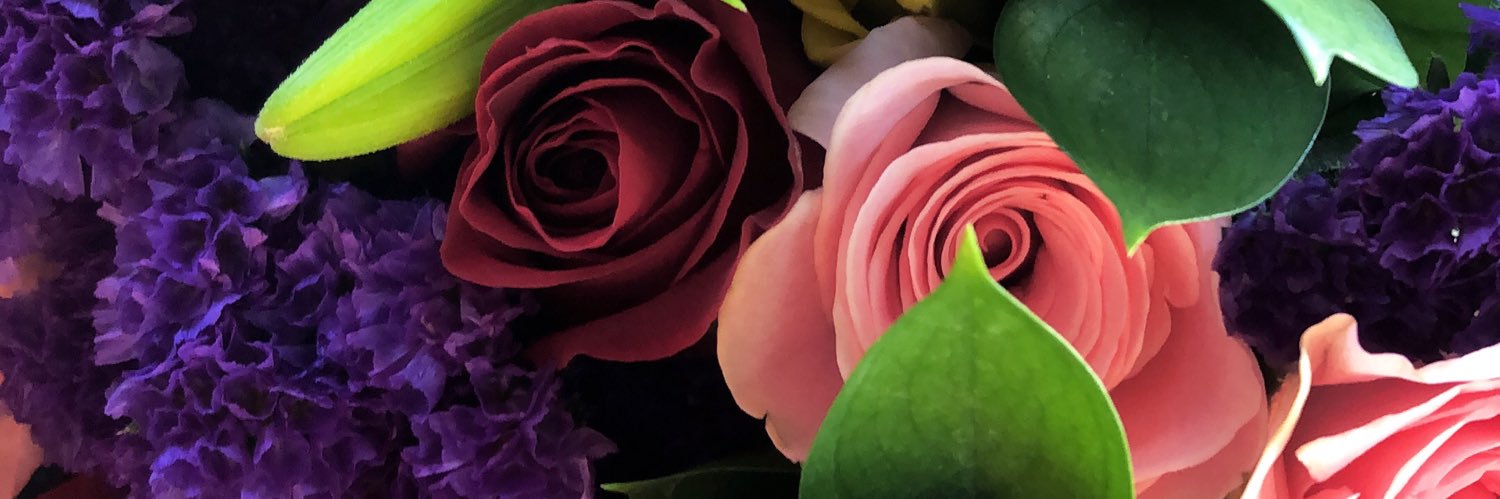 Paiizleyy's profile banner image