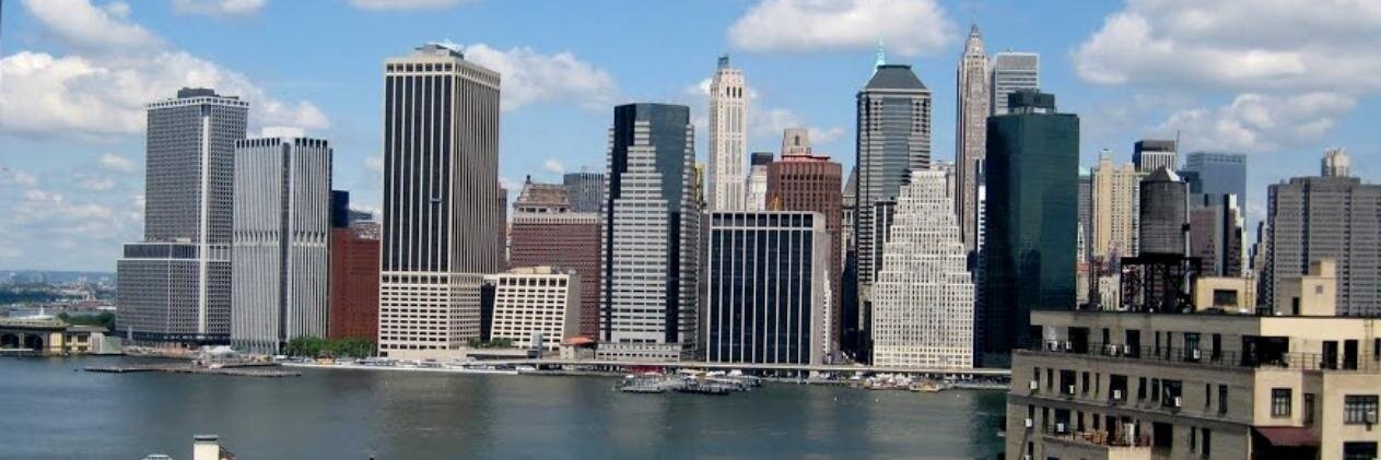Tina Susman banner