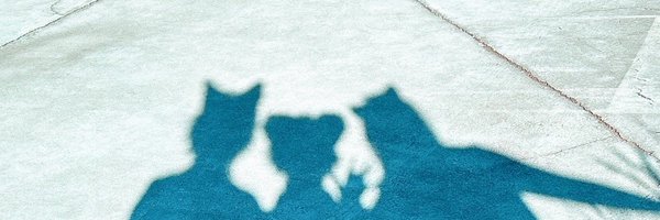 komaricos Profile Banner