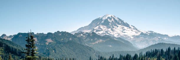 Jennifer Mertlich banner