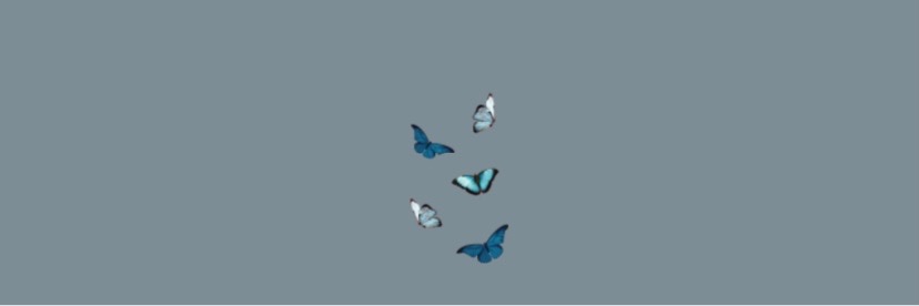 freeannairb's profile banner image