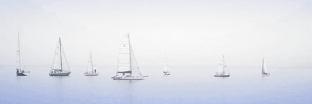 thecoinhunter's profile banner image
