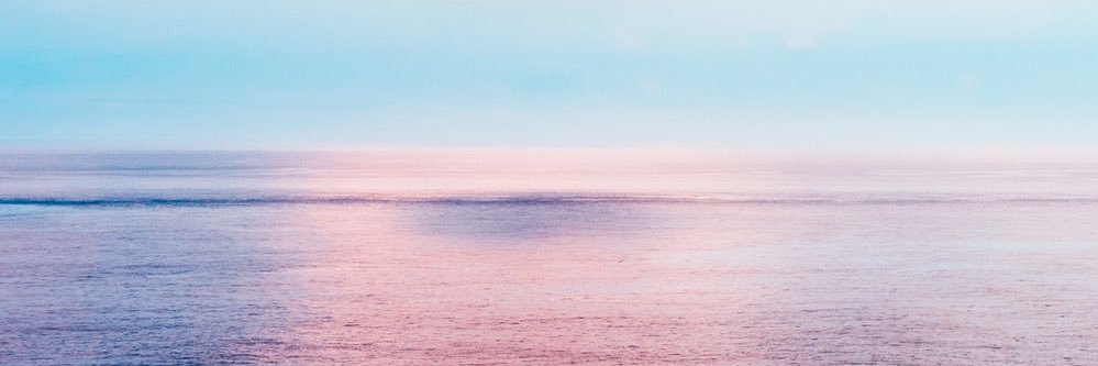 VioletaSilvaG's profile banner image