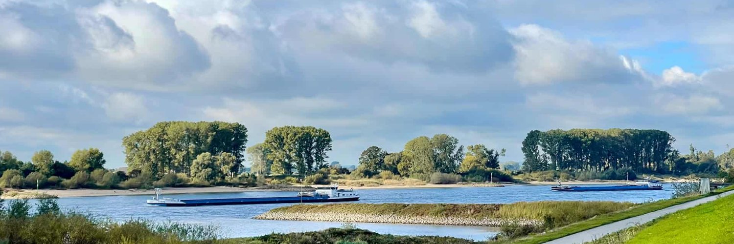 Rijning banner