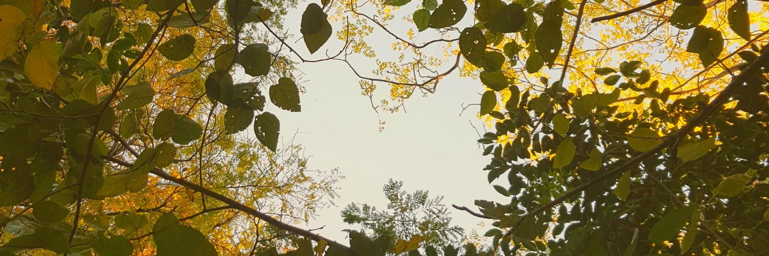 solimartinez82's profile banner image