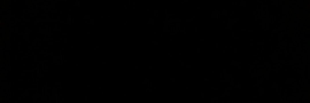 spIashin's profile banner image