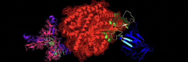 Ligandal Profile Banner