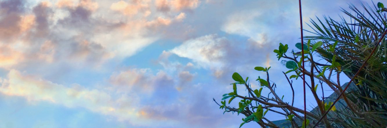 RoroAd11's profile banner image