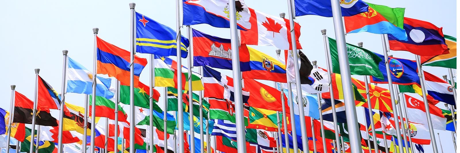 FDI_org's profile banner image