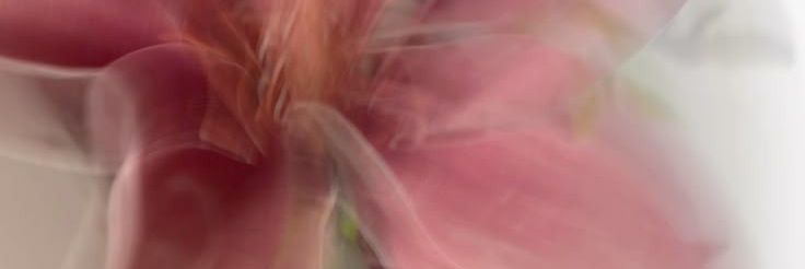 ¹¹ banner