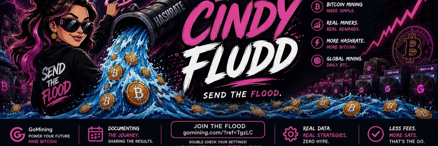 CindyFludd's profile banner image