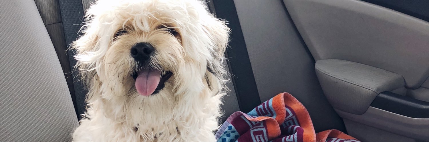 ericahhh_'s profile banner image