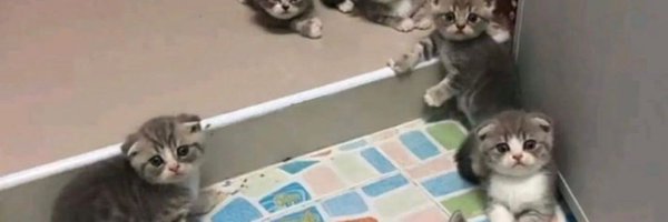 yunomixowell Profile Banner