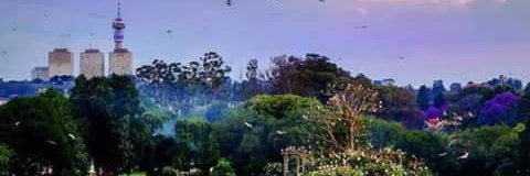 CouncilSoltions's profile banner image