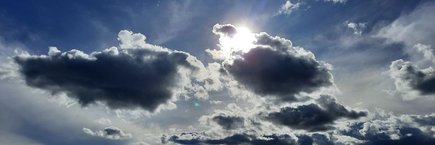 Cecy_Less's profile banner image
