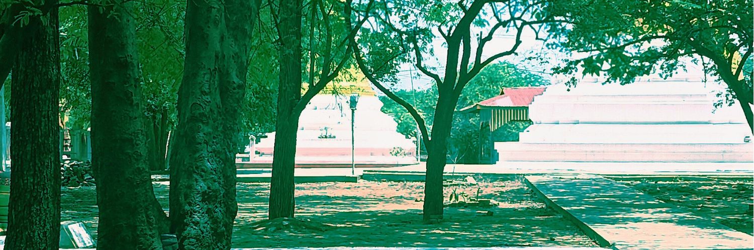 thantzin416's profile banner image