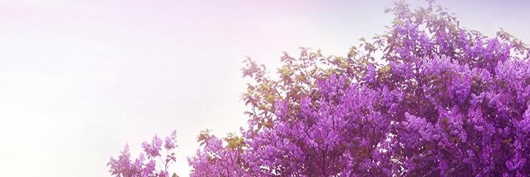 deenu_'s profile banner image