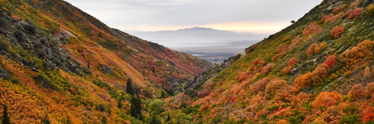 Jacob Swanson banner