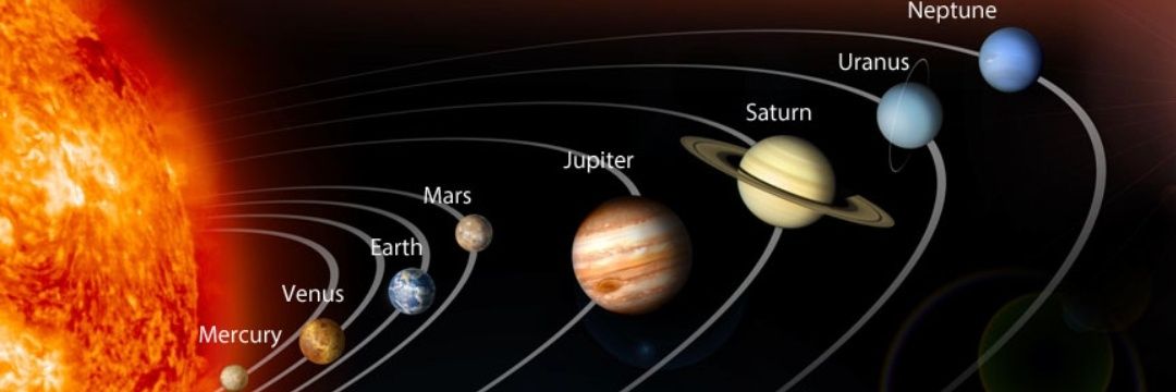 Natural Born Fella banner