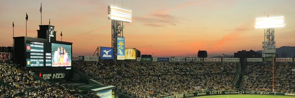 boomboommouse Profile Banner