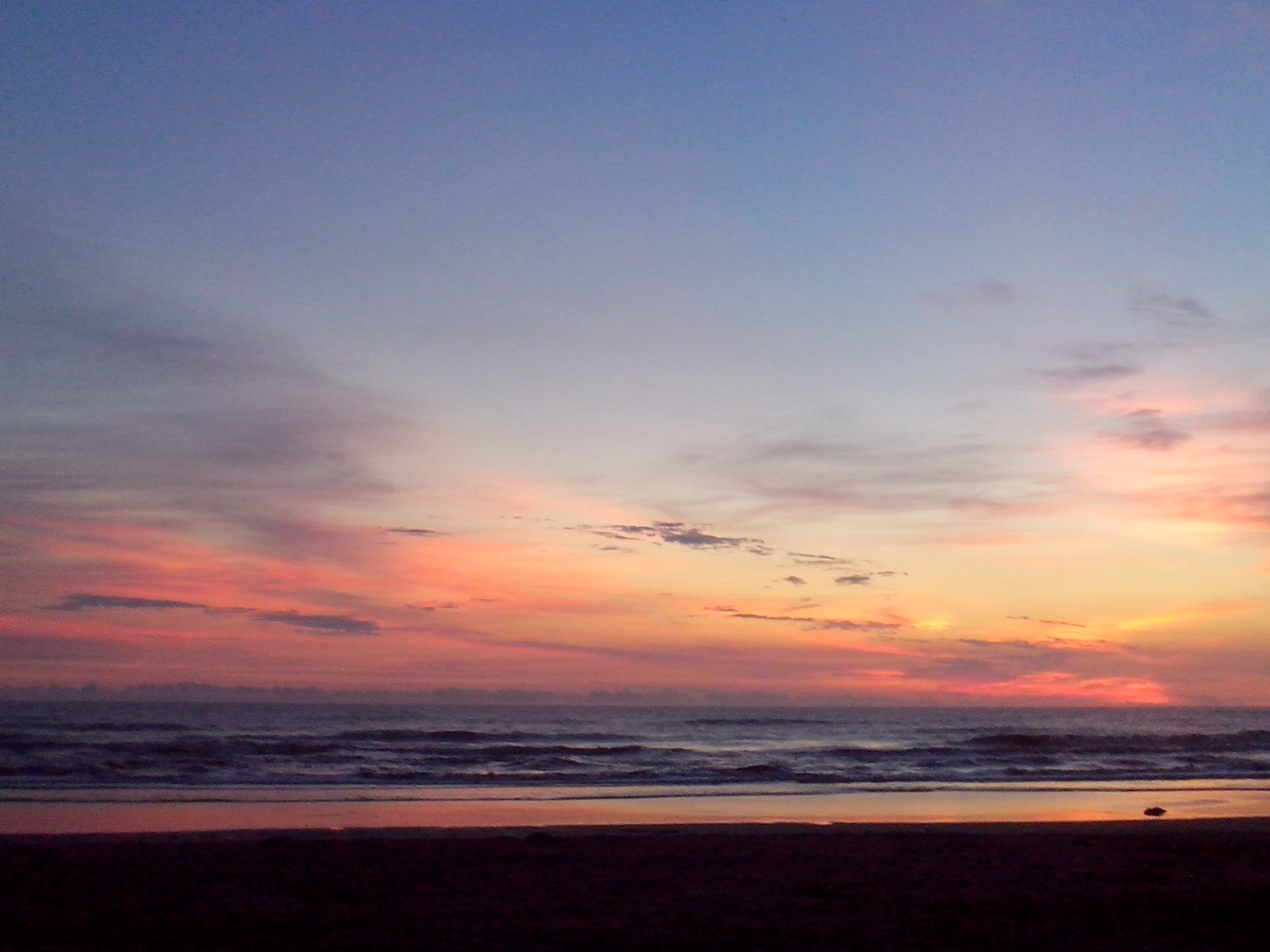 MagaliChacon_'s profile banner image
