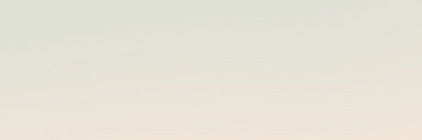 bee's banner