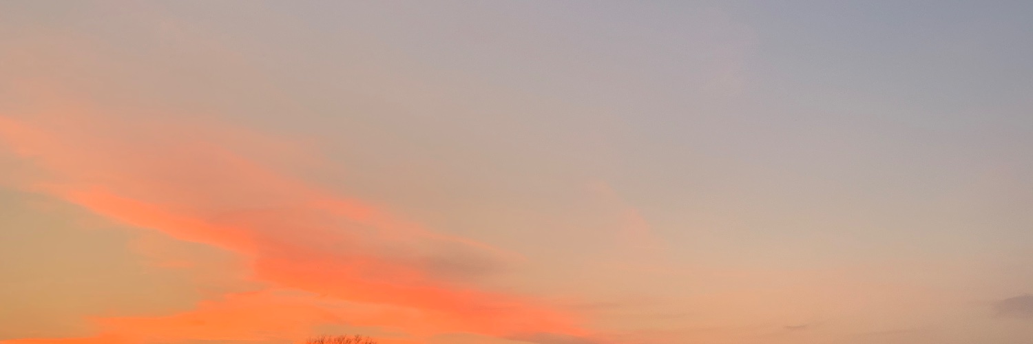 aculvs's profile banner image