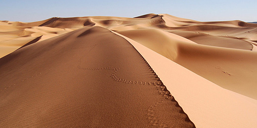 ⛔🥕🥀𝐂𝐎𝐋𝐎𝐌𝐁𝐀 𝐒𝐀𝐍𝐃𝐑𝐈 banner