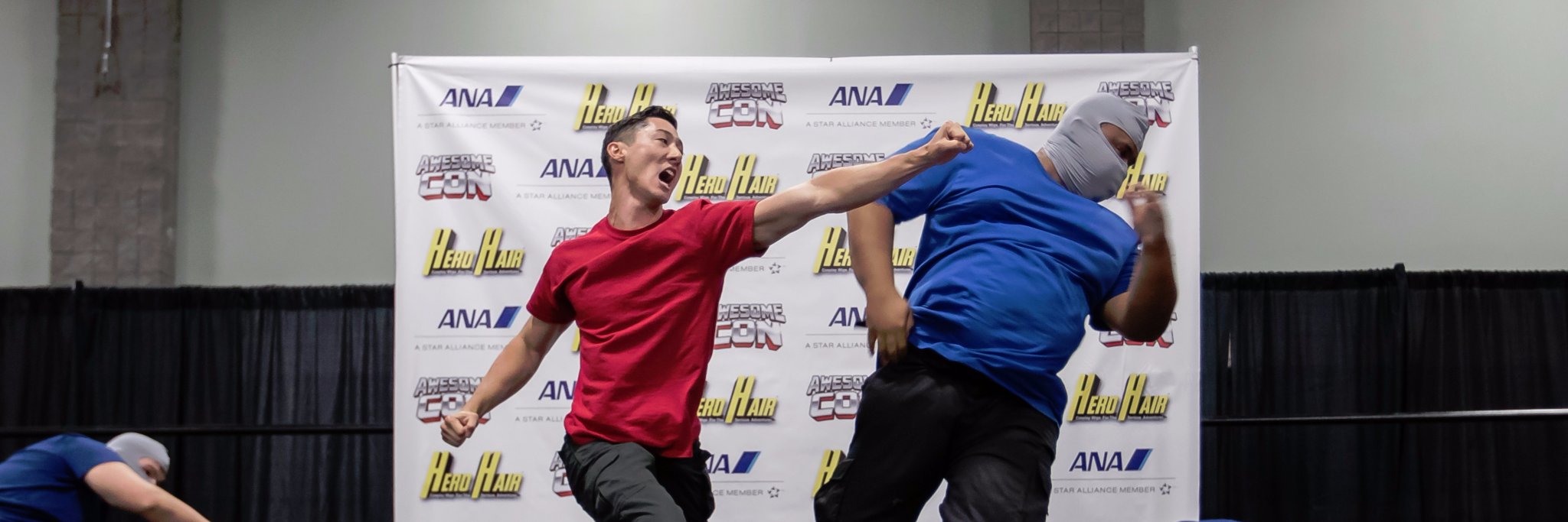 DC Stunt Coalition banner