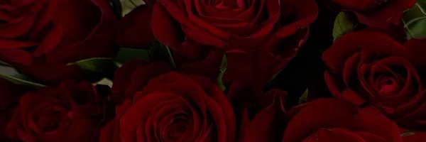 itzglitchyuwu Profile Banner