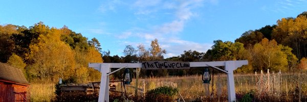 THETINCUPC15625 Profile Banner