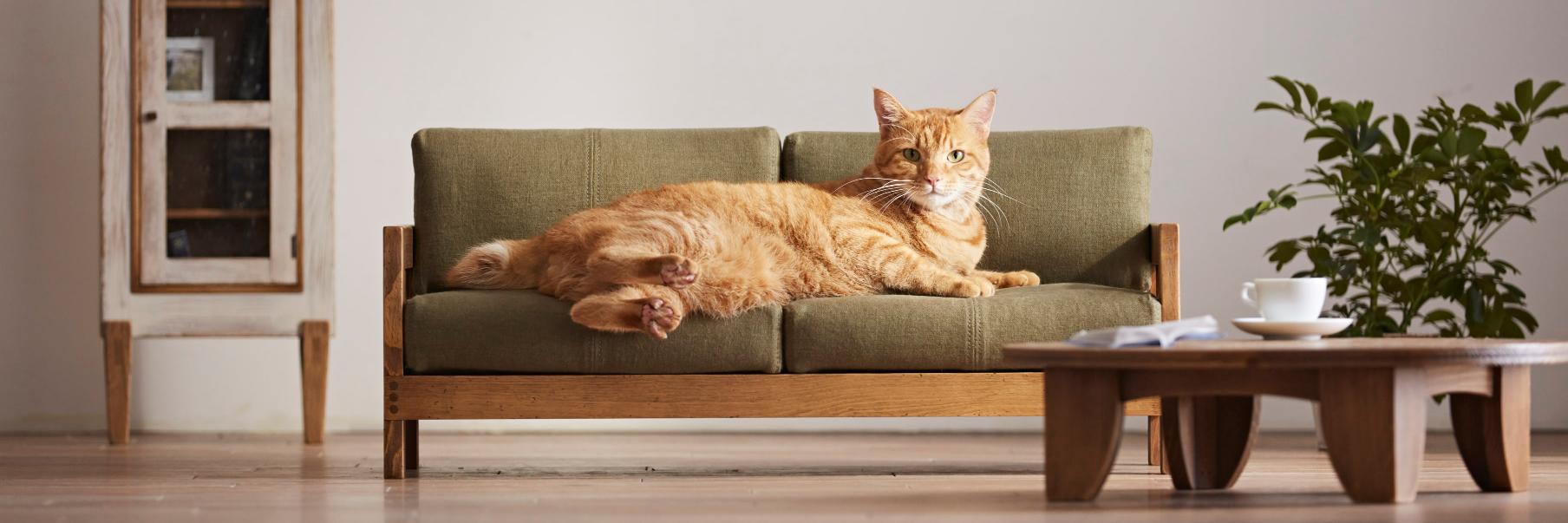 Matt Stempeck banner