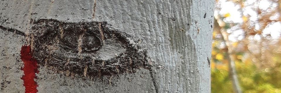 hosseinengineer's profile banner image