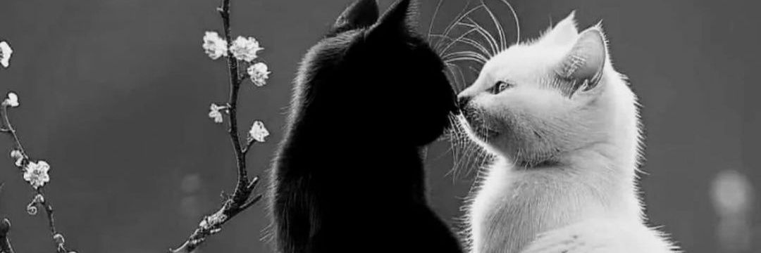 TAslarner32969's profile banner image