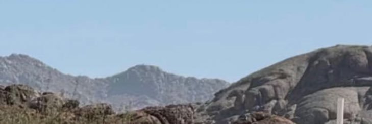 ضاري . banner