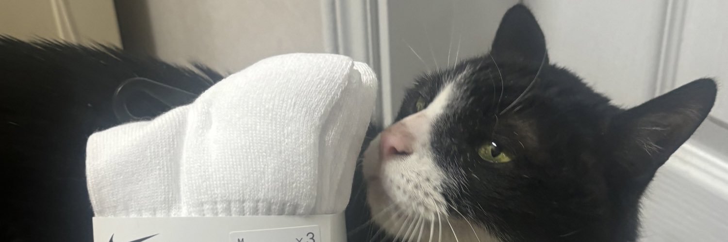 Happystarcat's profile banner image