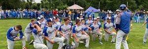 Manchester Hawks Baseball banner