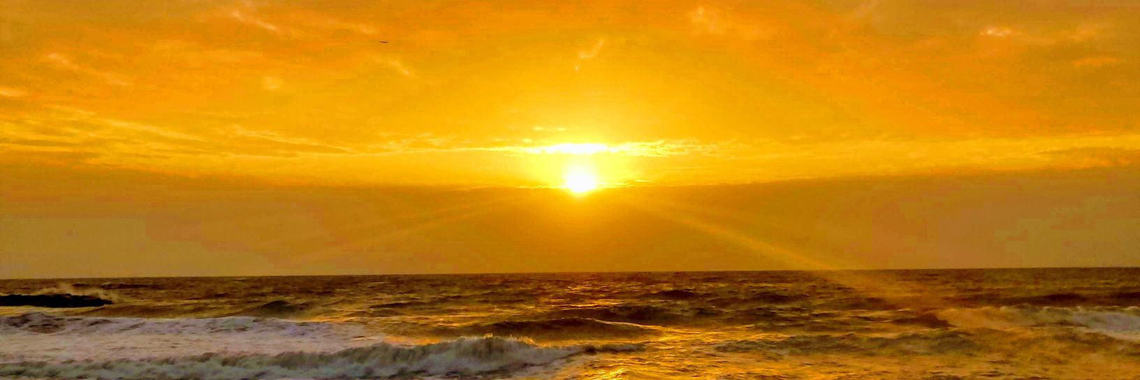 Boris Moshkovits banner