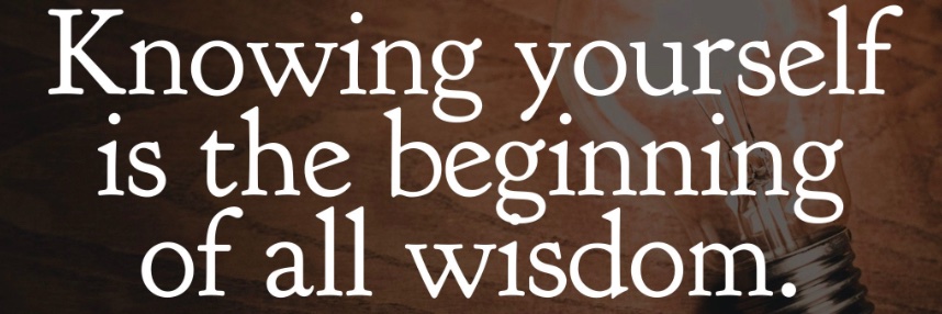 AmourDemocracy banner