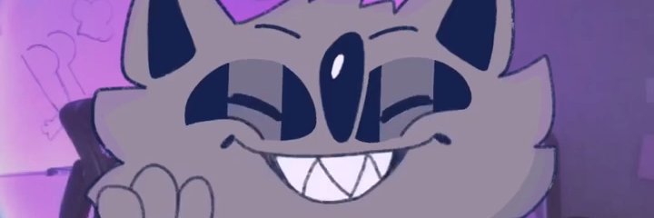 Raccatoons's profile banner image