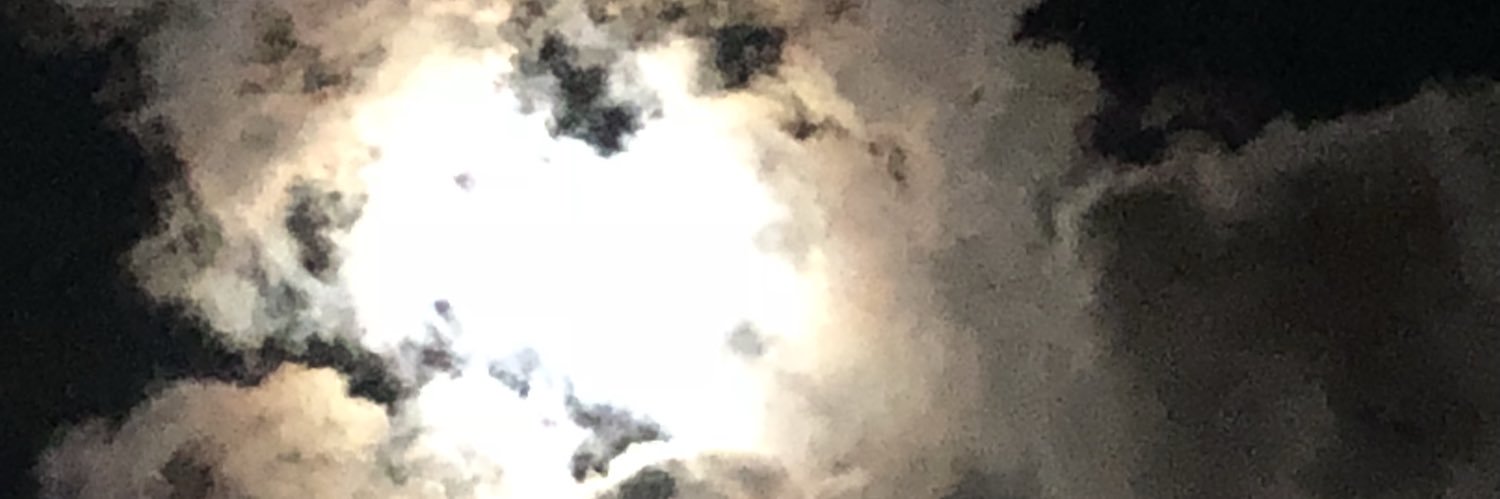 SwolHead's profile banner image